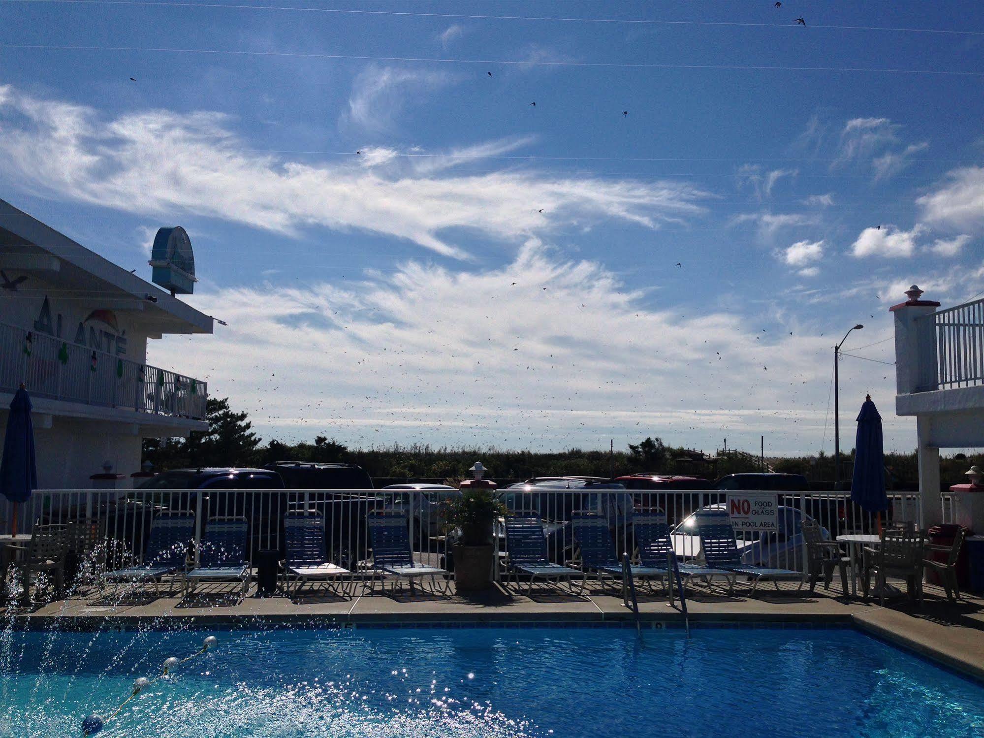 Alante Oceanfront Motor Hotel North Wildwood Exterior photo